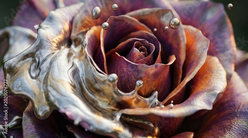 Purple Rose of Triumph and Serenity