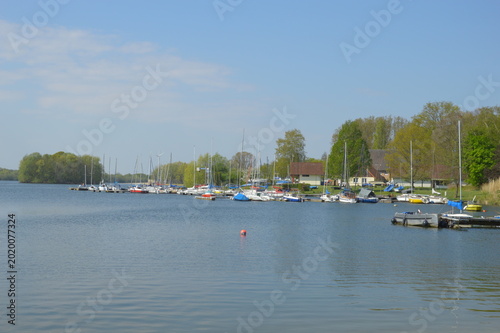 boats in the harbor