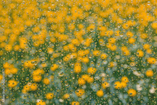 Vászonkép Raindrops on glass with colorful flowers creating vibrant floral texture backgro