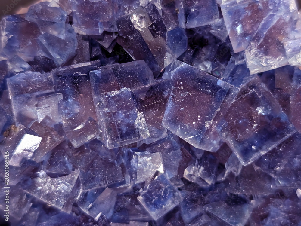 Fotografia Translucent Purple Fluorite Cubic Crystal Formation