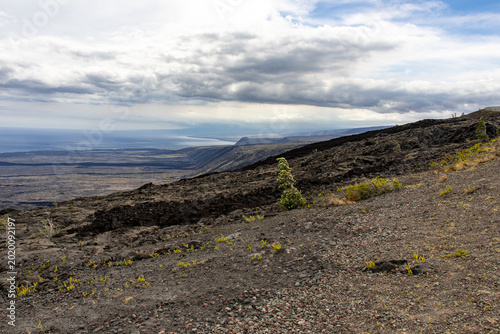 Foto Coastal volcanic plain and Pacific Ocean viewed from the high cliffs of Hawai'i