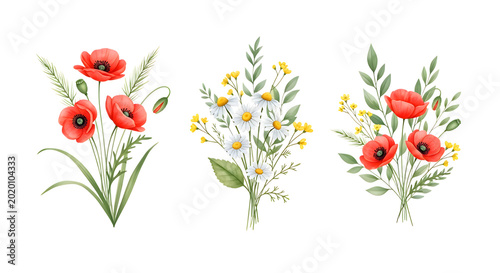 Watercolor floral bouquets with red poppies and white daisies isolated on transparent background for wedding invitation design