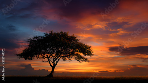 Wide empty sky with small tree silhouette near horizon line 