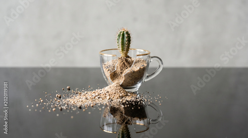 Cactus growing from elegant teacup with desert sand, surreal botanical meets afternoon tea concept, whimsical nature marketing, playful contrast, creative lifestyle advertising