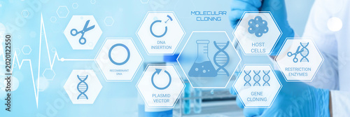 Fotografie Scientist Working with Molecular Cloning Techniques and Genetic Engineering Proc