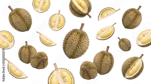 Tableau sur toile Fresh, pungent tropical durian fruits, whole and sectioned, displaying spiky green-yellow skin and creamy yellow flesh