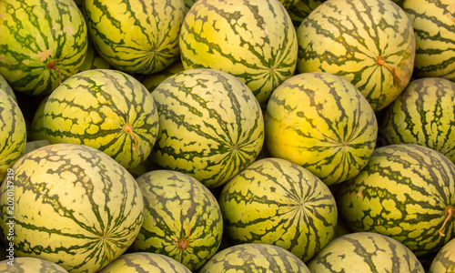 Tablou pe pânză Juicy Asian watermelons