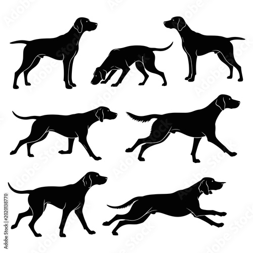 Collection of black silhouettes of hunting dogs in different action poses