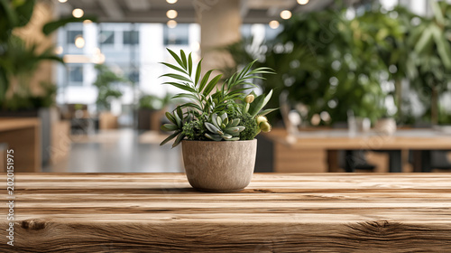 A small potted plant sits on a wooden table in a modern office space