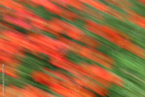 Abstract blurred orange red and green streaks creating