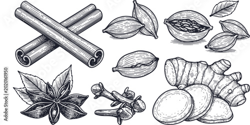 Bild auf Leinwand Hand drawn spices collection with cinnamon sticks star anise cardamom pods clove