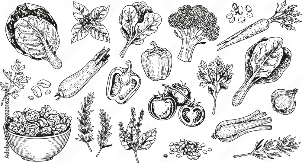 Εκτύπωση καμβά Hand-drawn assortment of fresh vegetables and herbs arranged for healthy food pr