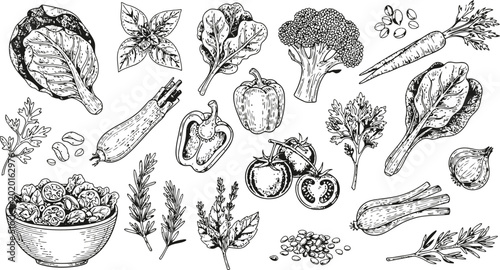 Konstfotografi Hand-drawn assortment of fresh vegetables and herbs arranged for healthy food pr