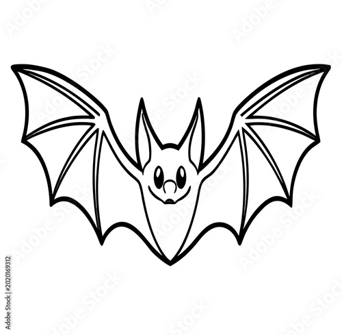 black and white bat