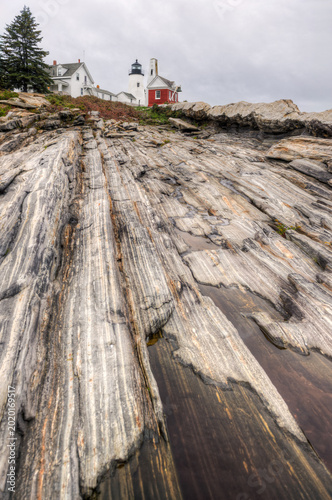 Small Puddle Below Pemaquid Point Lighthouse