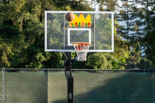 Tableau sur toile Flying basketball