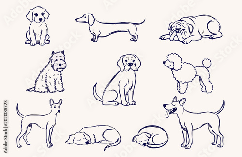 Various dog breeds in simple line drawings with different poses during playful and resting moments isolated on white background