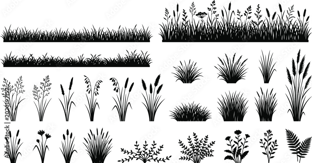 Ταπετσαρία Wild grass and foliage silhouette collection isolated on white background