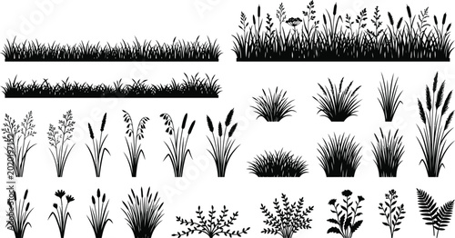 Foto Wild grass and foliage silhouette collection isolated on white background