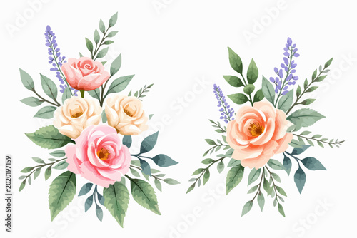 Watercolor Rose Floral Bouquet  Vector, 