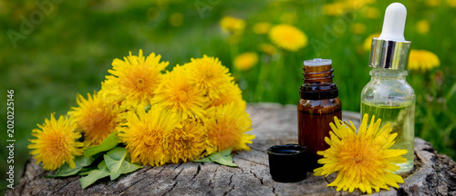 Dandelion essential oil bottles and flowers on wooden stump in meadow