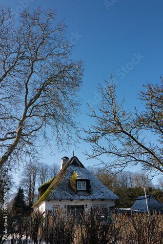 Schilderij op canvas Reet Kate in Sieseby im Winter