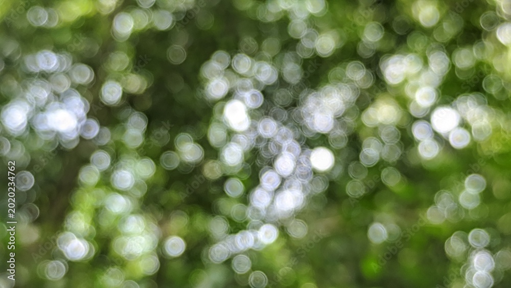 Fototapeta premium Abstract natural green bokeh background with soft blurred light circles. Blurred nature backdrop with ample copy space perfect for backgrounds, wallpaper and modern minimalist graphic design