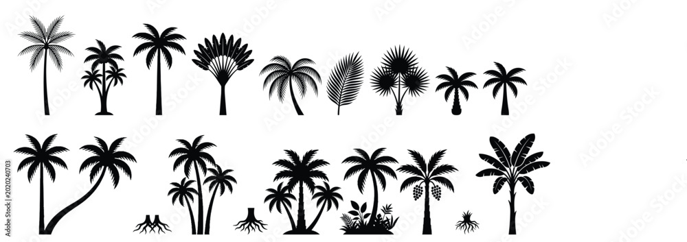 Fototapeta premium Palm tree icon vector set, tropical summer plant silhouettes