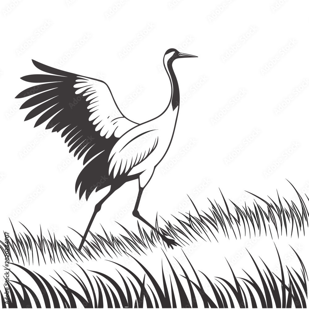 Fototapeta premium Crane bird silhouette walking through tall grass on a white background monochrome illustration
