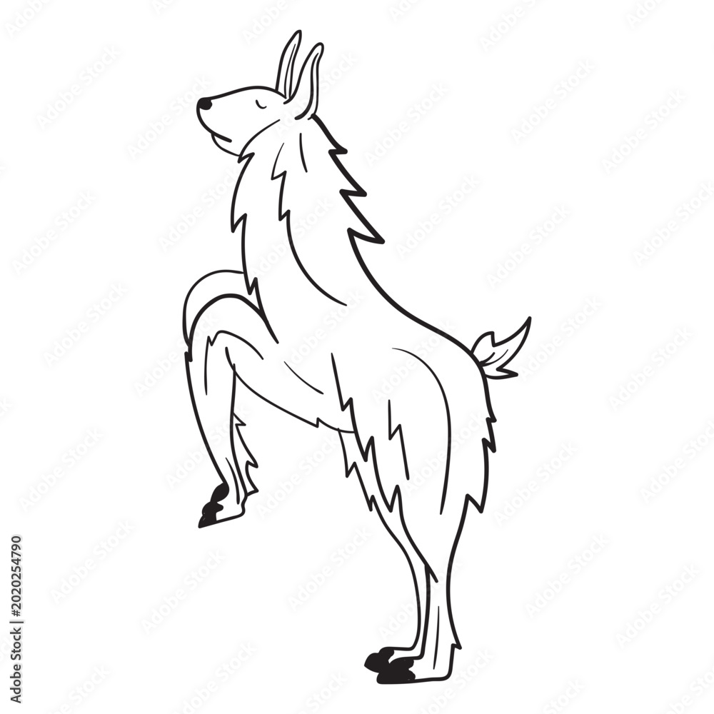 Obraz premium Llama on hind legs stroke