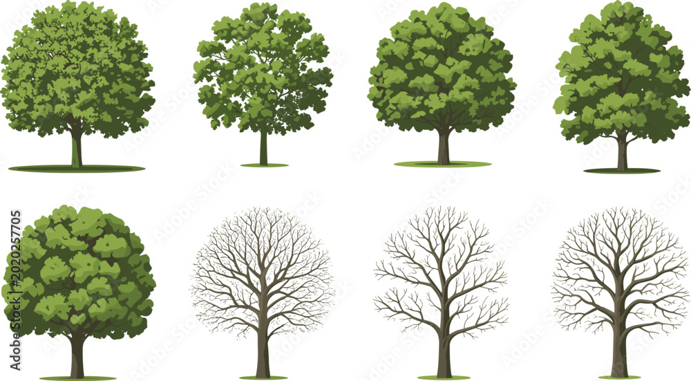 Εκτύπωση καμβά Watercolor style tree collection vector illustration with green and leafless tre