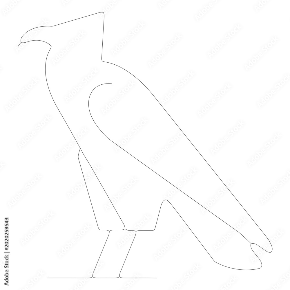 Foto A carrion crow bird eagle line