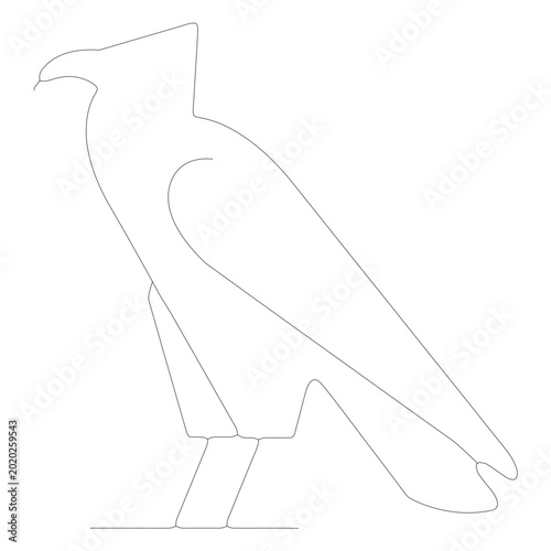 Fotografie A carrion crow bird eagle line