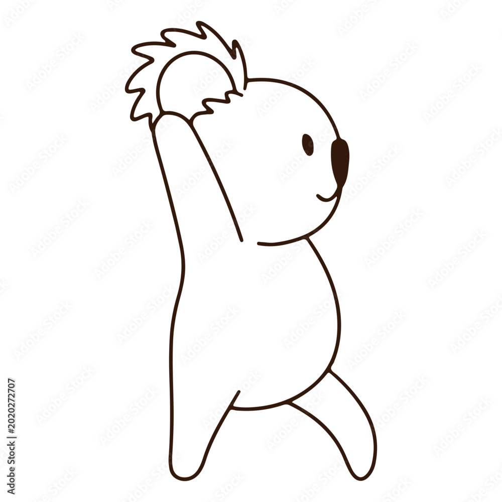 Fotografie Yogui koala stroke standing