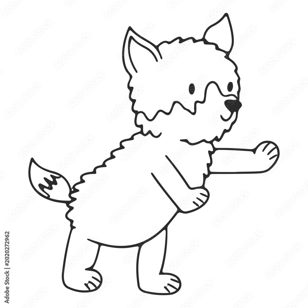 Fototapeta premium Simple standing wolf baby animal