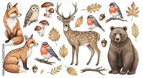 Collection of Forest Animals and Autumn Leaves Illustration.