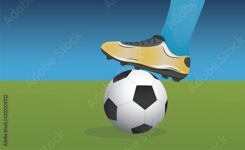Bild auf Leinwand A vector illustration of a soccer ball lying on a green football field