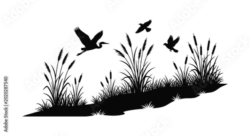 Photography Wetland silhouette birds flying over reeds and marsh grass in black and white