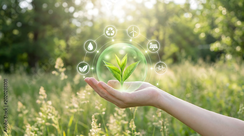 Eco friendly symbol, green sprout, hand in nature, sustainability concept, environmental protection