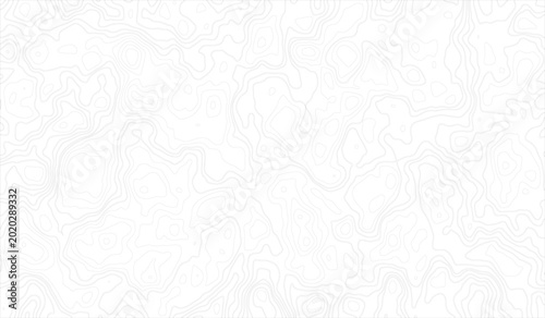 Foto Gray Abstract Seamless Topographic map and landscape terrain texture grid, Abstract lines background