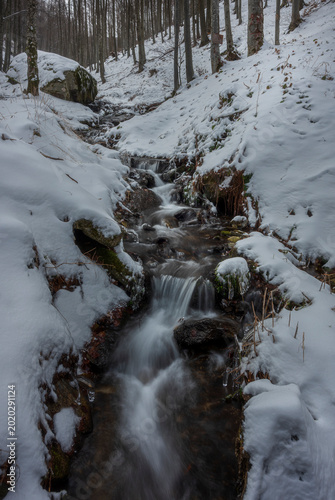 stream in the forest