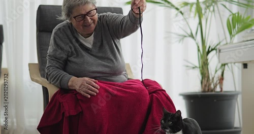 Playful cat enjoy the presence of the elderly woman