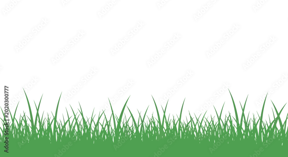 Fototapeta premium Green grass blades closeup view.