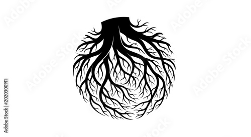 Intricate circular tree roots forming a complex network.