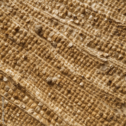 Abstract Grain Texture Surface for Modern Design Projects