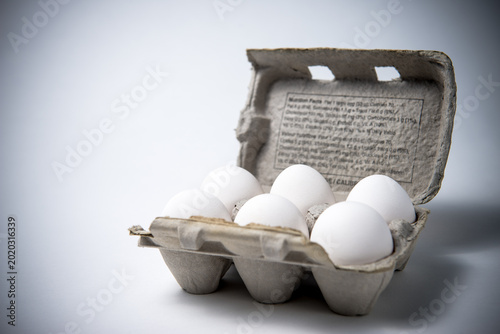 Six Eggs in a Half Carton