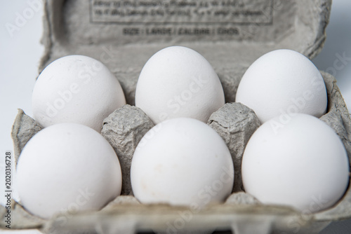 Six Eggs in a Half Carton
