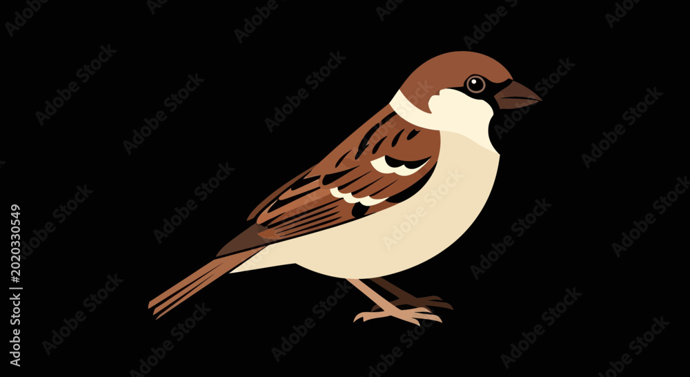Φωτογραφία Brown and white small bird standing.
