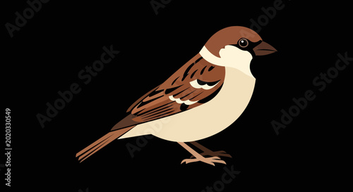 Slika na platnu Brown and white small bird standing.