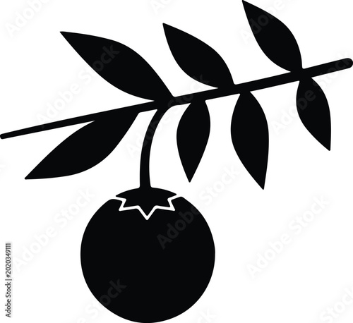 Fotografía Silhouette design of a single fruit on a leafy branch vector